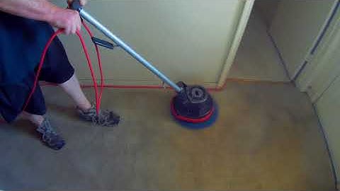 Oreck Orbiter--Easy Money Cleaning Carpets!!!