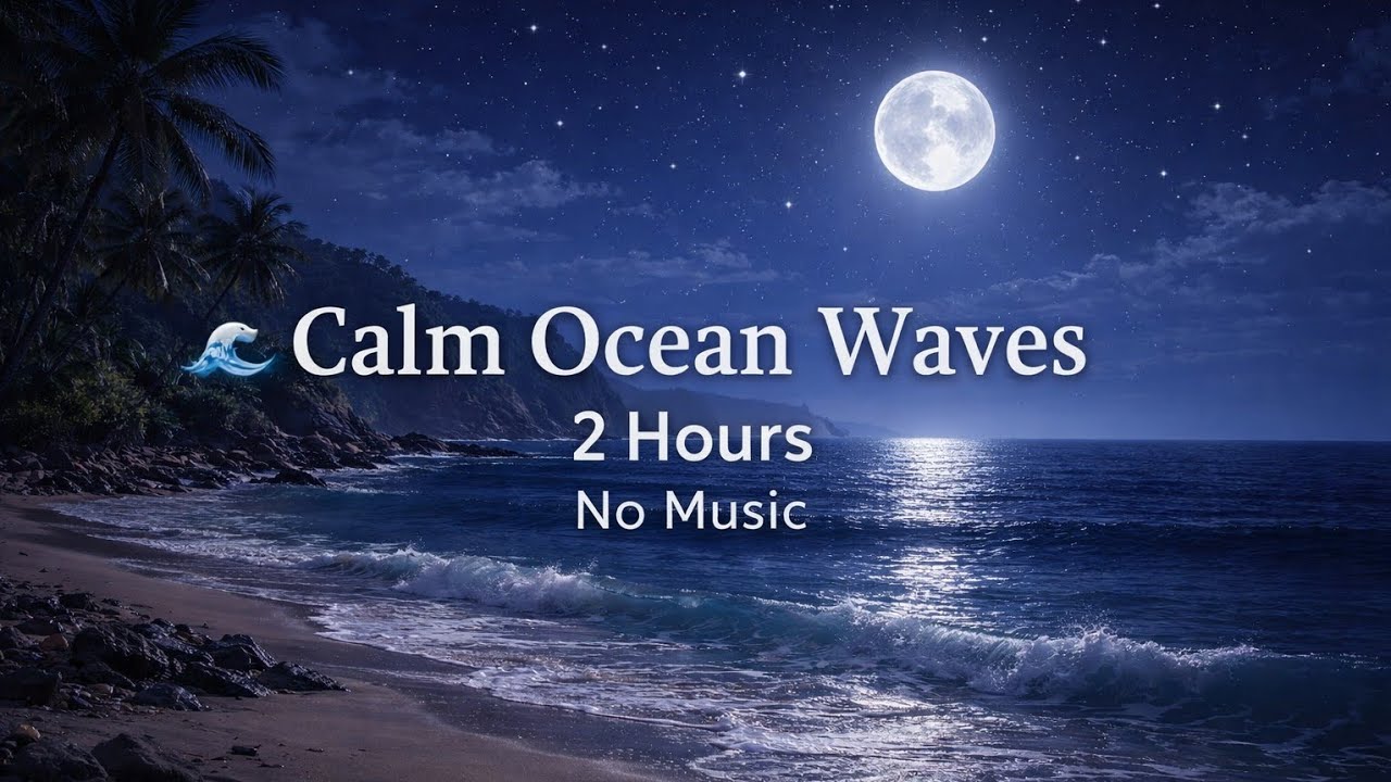 Calm Ocean Waves 🌊 | 2 Hours | No Music | 잔잔한 바다 파도 소리 수면 2시간