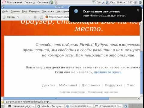 Установка Firefox + Adobe flash player на Debian GNU/Linux