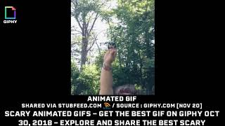 Scary animated GIFs  Get the best GIF on ...
