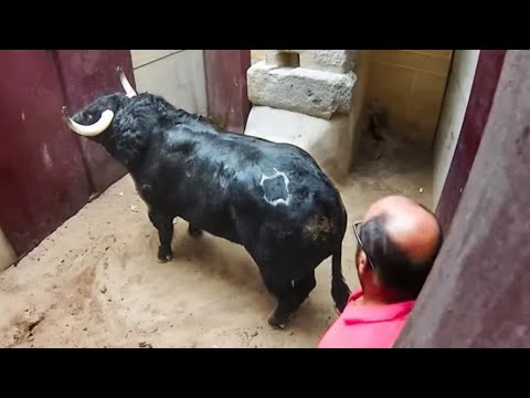 مواقف مضحكه محدش يقدر يكمل