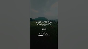 فسبحان الله حين تمسون وحين تصبحون 🤍🤍  #تلاوة_خاشعة #تلاوة_الصباح #فارس_عباد