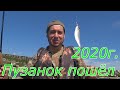 ПУЗАНОК 2020 года пошёл ! Рыбалка на Днепре в Херсоне 2020 на селедку