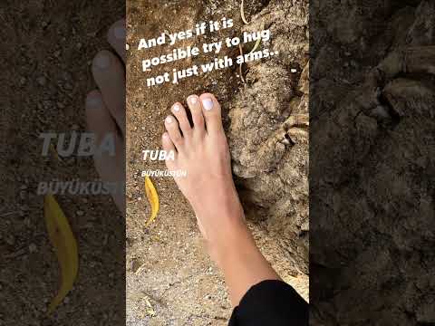 Tuba Büyüküstün Enjoying The Beauty Of Nature Most Beautiful Talented Turkish Actress Hug A Tree