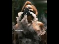 trance Music for whatsapp status