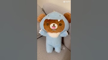 🧸 Rilakkuma collection 🧸😍 #plush #rilakkuma #collection #kawaii #stuffedanimals