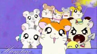 Video thumbnail of "Hamtaro Opening Song Indonesia"