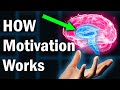 Motivation &amp; The Human Brain