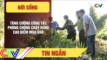 TĂNG CƯỜNG CÔNG TÁC PHÒNG CHỐNG CHÁY RỪNG CAO ĐIỂM MÙA KHÔ