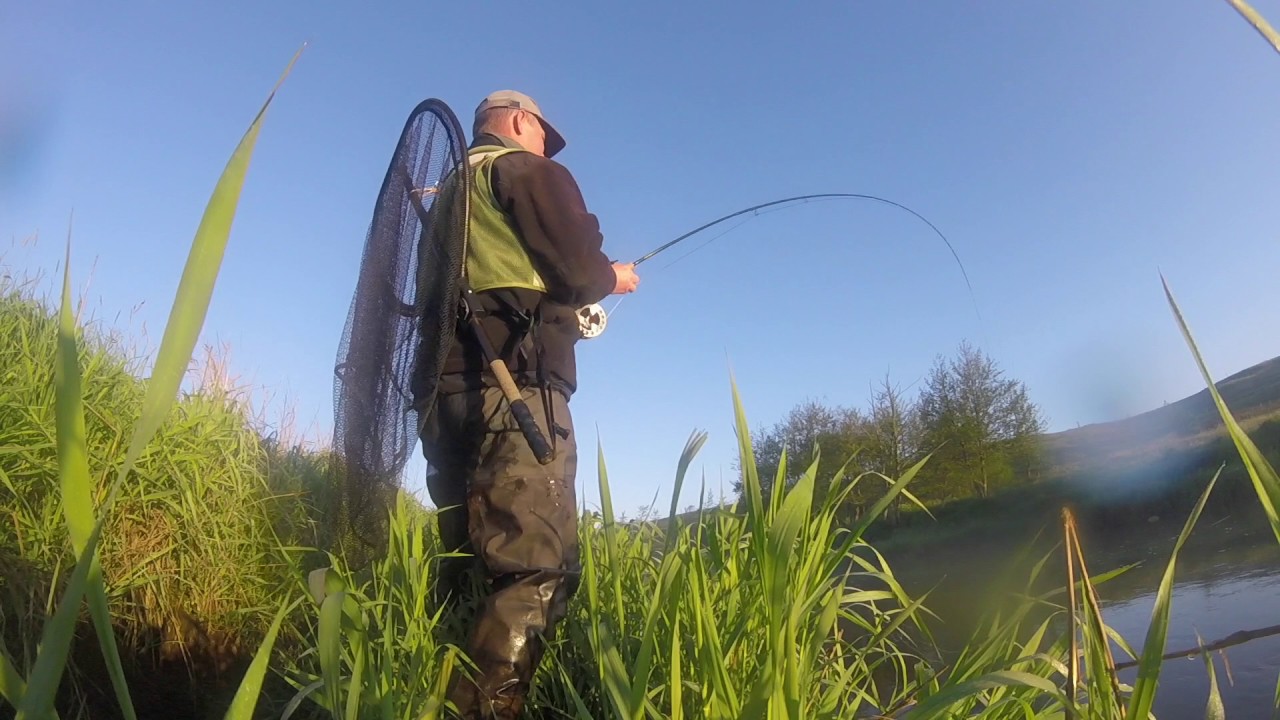 Storåen Maj 2017 (Med 119 i timen)