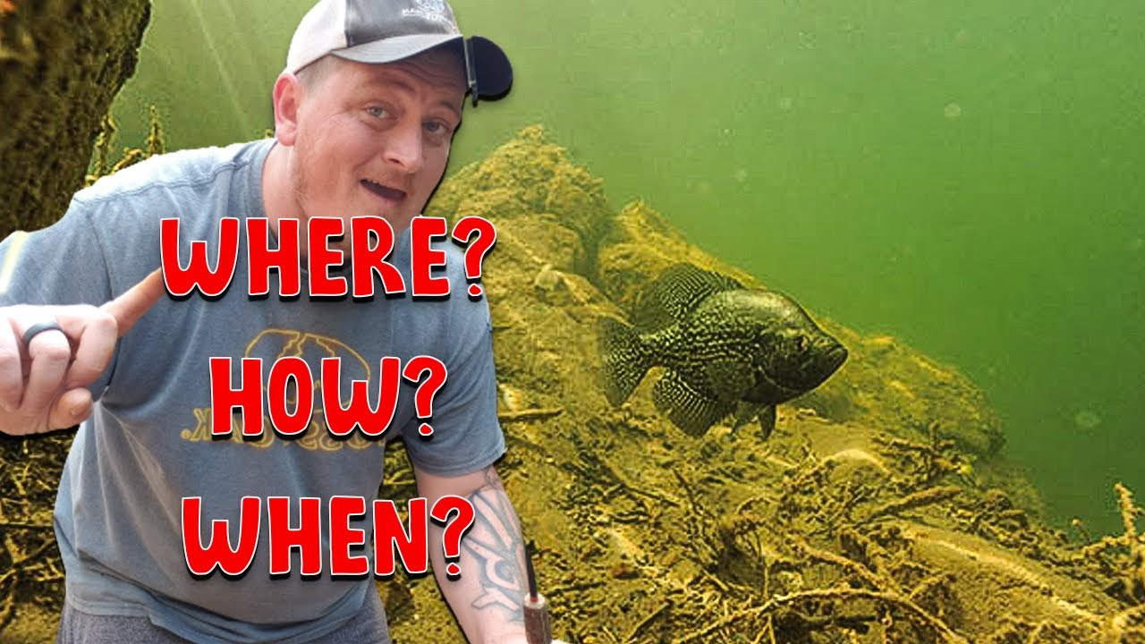 Руководство по спавну CRAPPIE | Всё ОБЪЯСНЕННО