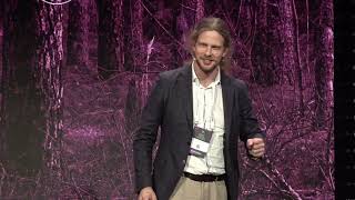 Quantum Light Sources Applications, Materials and Integration Arturs Bundulis