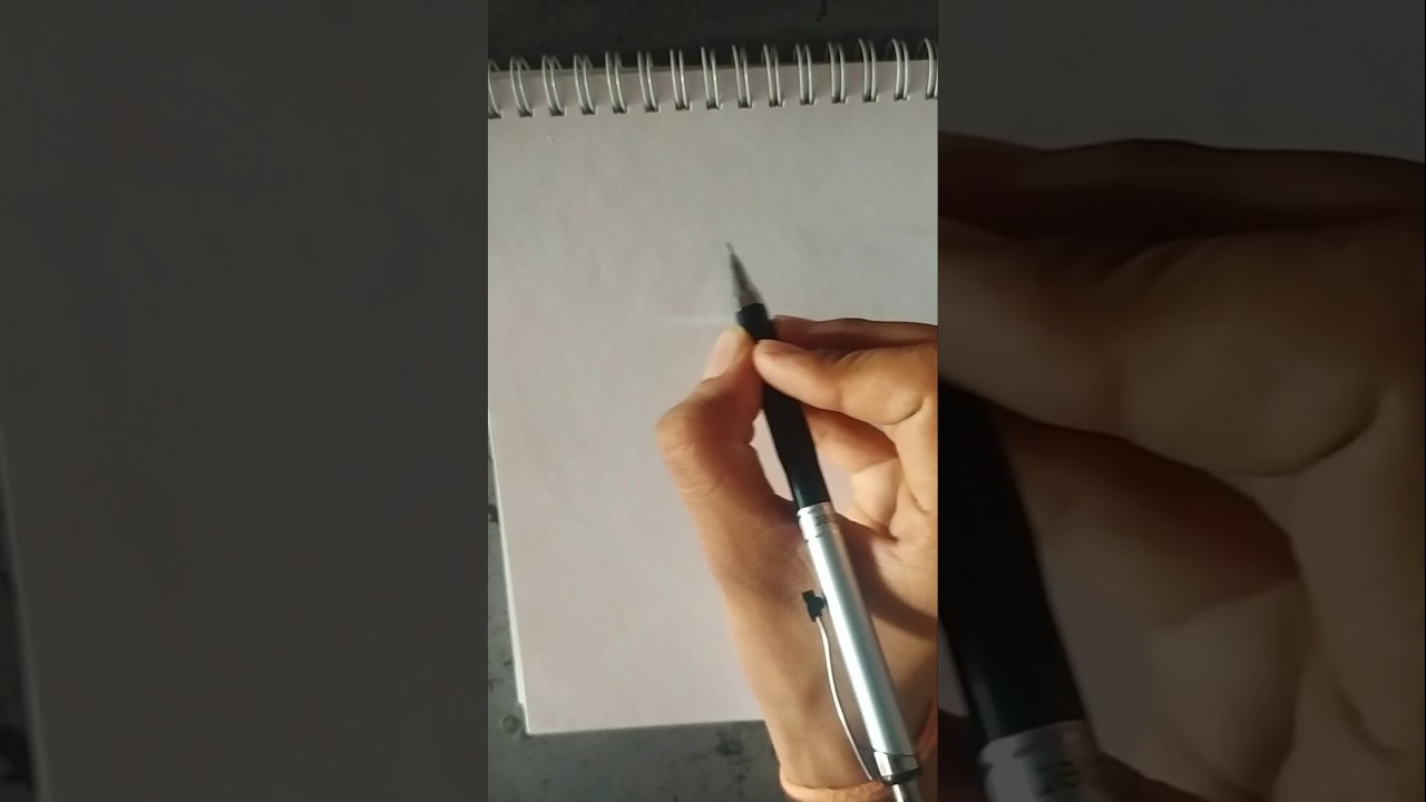 Would you join the Straw Hat crew?