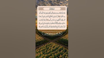 سورة الملك آية (27_30) القارئ #بيشةوا_قادر_الكردي