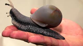 Patrick Dreher - Whats Hot In Munich 2017