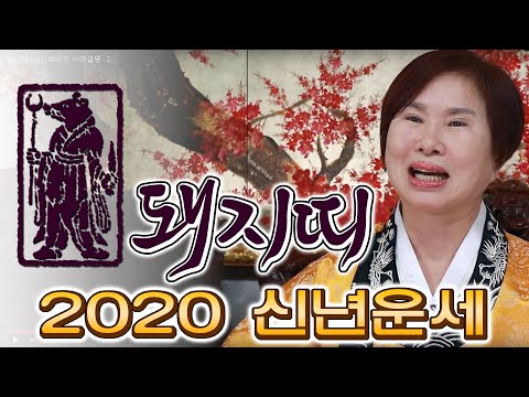 호산(虎山)심보배의 띠별 운세 - 2020년 돼지띠 보세요(<strong>음력생일</strong> 기준)