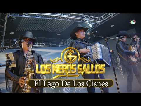 Los Meros Gallos - El Lago De Los Cisnes