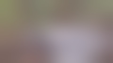 Best Fails of the Week 3 November 2014  FailArmy