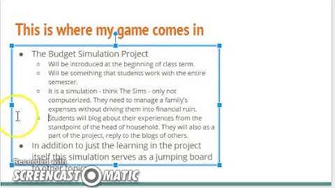 Budget Simulation Project