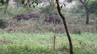 DSCF5230.avi