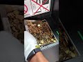 خطة باءت بالفشل 