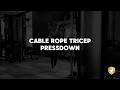 Cable Rope Tricep Pressdown