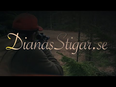 Beatris Valle bilan porno