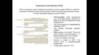 PCR for A2 Biology