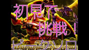 白猫 呪い槍 白猫 呪い槍