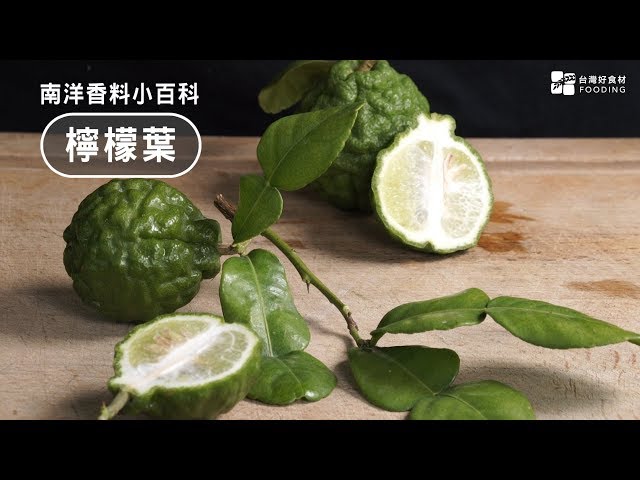 【南洋料理小百科】檸檬葉-卡菲爾萊姆,散發獨特清香～How to Chop and Use Kaffir Lime Leaves| 台灣好食材 Fooding