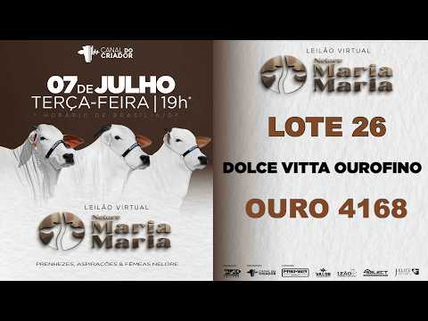 LOTE 26   OURO 4168