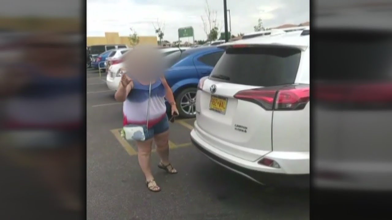 Video shows confrontation with pet owner accused of leaving dogs in hot ...