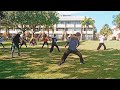 Chen 56 Tai Chi With Ricardo Chao