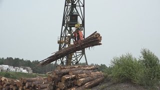 Pilot program to help boost forest product sector's workforce