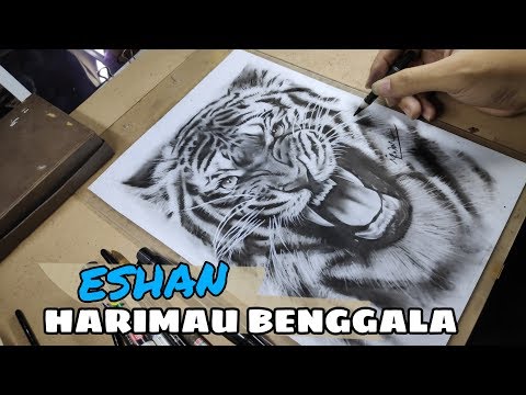 Video: Harimau Dalam Pensil: Cara Melukis Dengan Indah