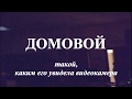 Домовой. Реальное видео.