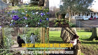 In the Garden and Afternoon at Hove Park to see the crocus ♥ by Lynn B 182 views 3 months ago 6 minutes, 8 seconds