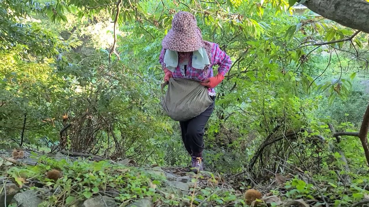 산골 딸들이 그리는 가을풍경을  보실 수 있습니다/꽃게찜