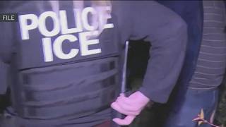 1,328 people arrested by ICE in Maryland and Virginia over 2 weeks, DHS says | NBC4 Washington News