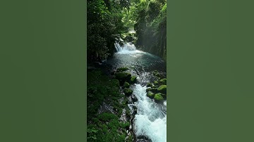 سورة الزمر | سعد الغامدي 🎧🤎