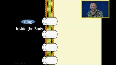 First and Zero Order Kinetics