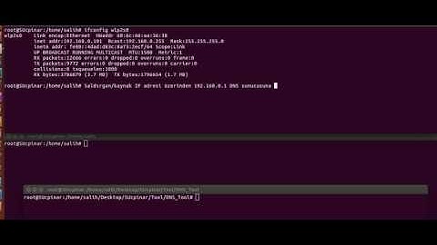 DNS Amplification/Reflection Attack