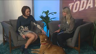 Idaho Today: Pet Talk - Finding the right pet