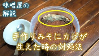 【解説】手作りみそにカビが生えた時の対処方法