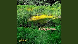 If Only For Fun