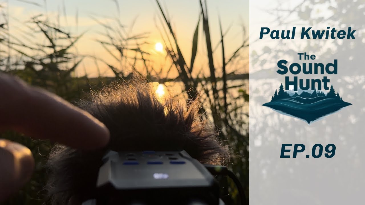 The Sound Hunt – Ep.09 | Relaxing Meadows & Migrating Cranes (Field Recording Nature sounds)