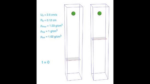 Vortex rings in a stratified environment numerical simulation