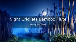 Peaceful Bamboo Flute & Gong for Deep Sleep | Night Crickets Healing Meditation screenshot 4