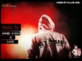شمس الحريه الزمالك