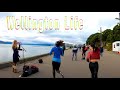 Wellington New Zealand 4K